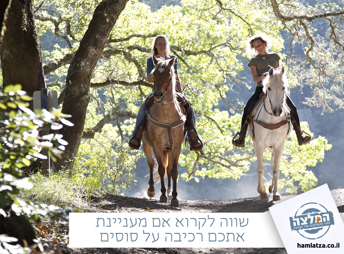 רכיבה על סוסים