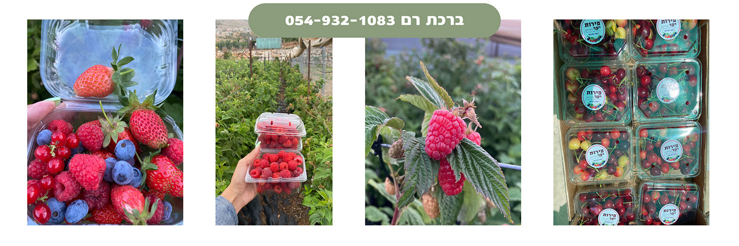 ברכת רם 054-932-1083