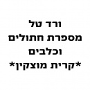 מספרת חתולים כלבים