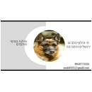 חי אילוף כלבים ירושלים והסביבה