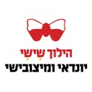 מרכז שירות יונדאי הילוך שישי