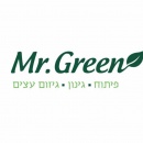 Mr.Green מיסטר גרין