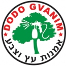 דודו גוונים