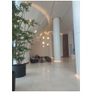 נוטריון כל שרותי הנוטריון