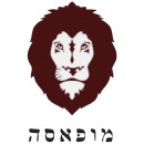 מופאסה - כל המידע על התקרחות ונשירת שיער