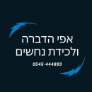 אפי וינטר