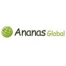 Ananas Global אננס גלובל