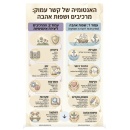 מתי וינברג
