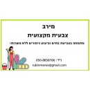 מירב הצבעית