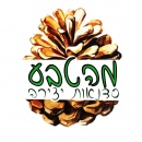 מהטבע סדנאות יצירה