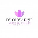 אודלייה  בניית ציפורניים