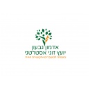 אדמון גבעון - ייעוץ זוגי אסטרטגי ומגשר
