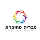 טבריה מחוברת