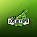 איגואנה די. ג\