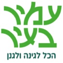 עמיר  בעיר